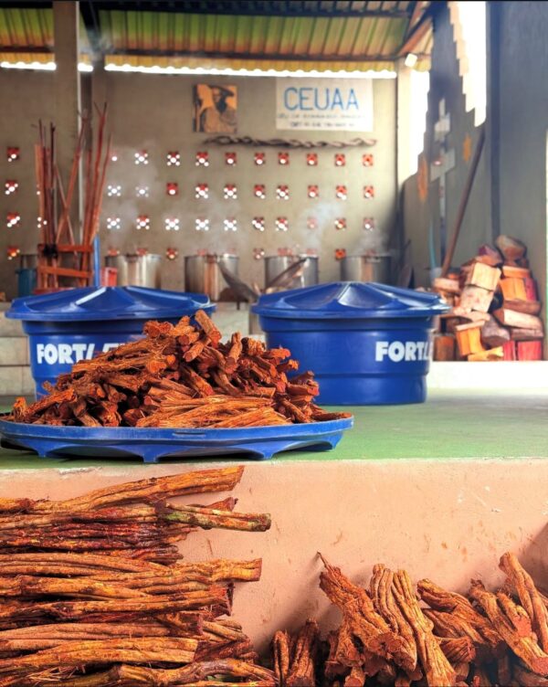 Ayahuasca retreat Dubai